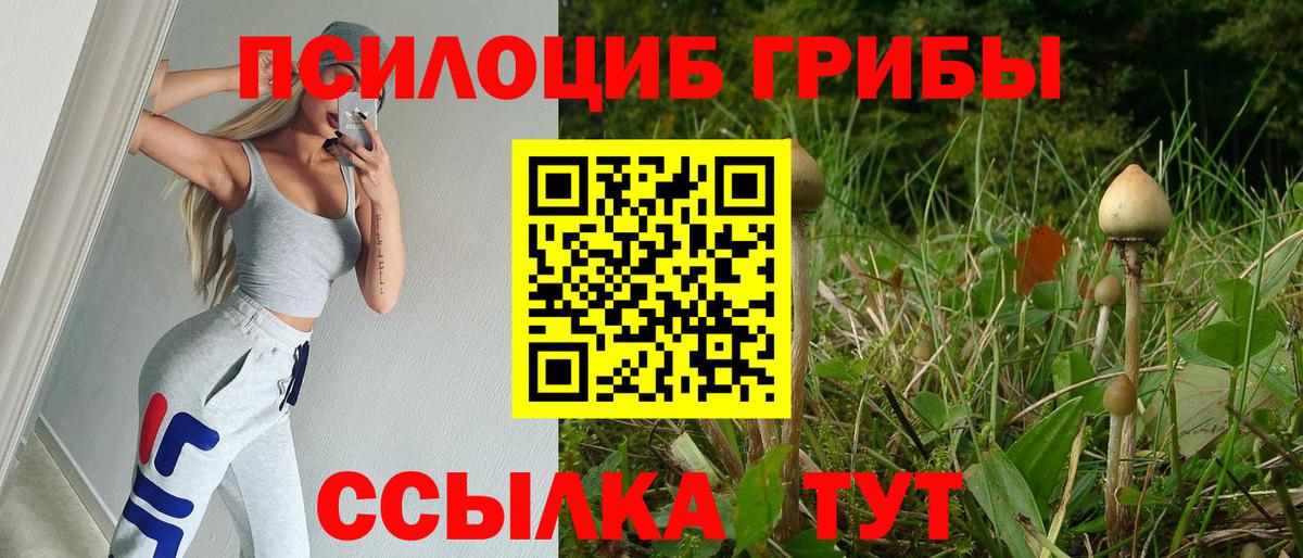 Псилоцибиновые грибы Печора