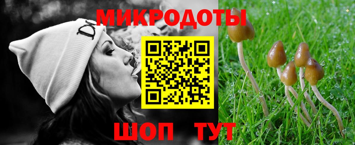Печора  Псилоцибиновые грибы мицелий  Вход с VPN 